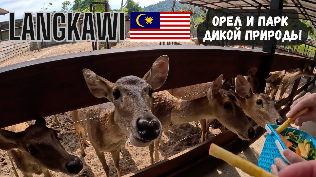 Langkawi | Part 2 | Eagle and Wildlife Park