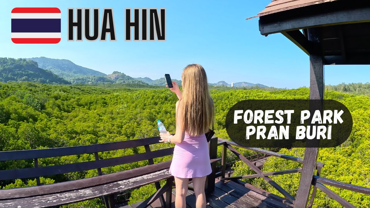 Explore Nature's Beauty at Forest Park Pran Buri, Thailand